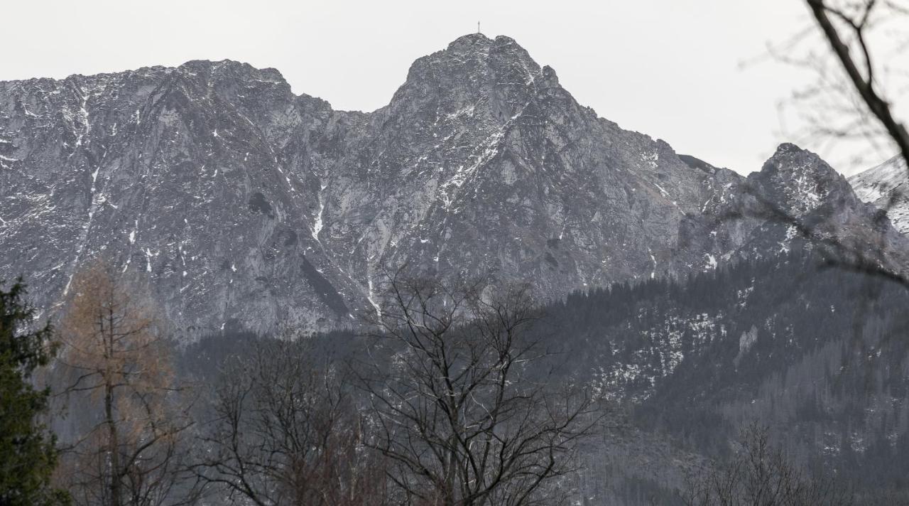 Twoja Chata Apartamenty Pod Niebem Zarezerwuj Na Podhalami Pl Kościelisko Esterno foto